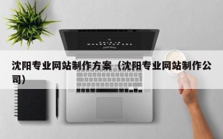 自贡沈阳专业网站制作方案（沈阳专业网站制作公司）